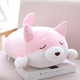 Chubby Shiba Inu — image 11