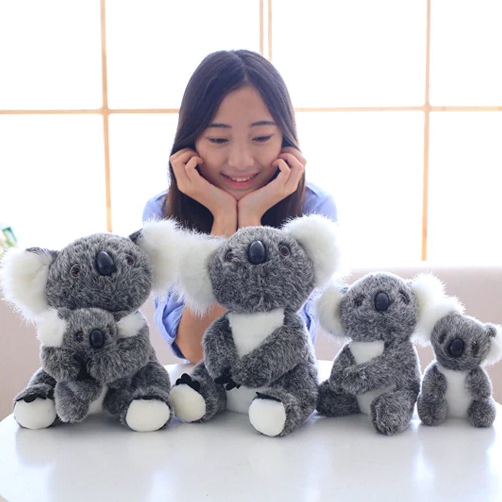 Koala Bear Family — image 15