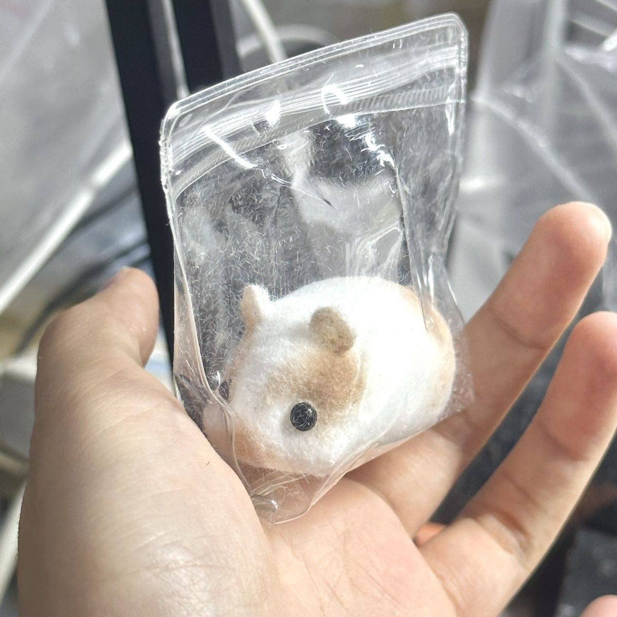 Handmade Guinea Pig Taba Squishy Toy – product image 5