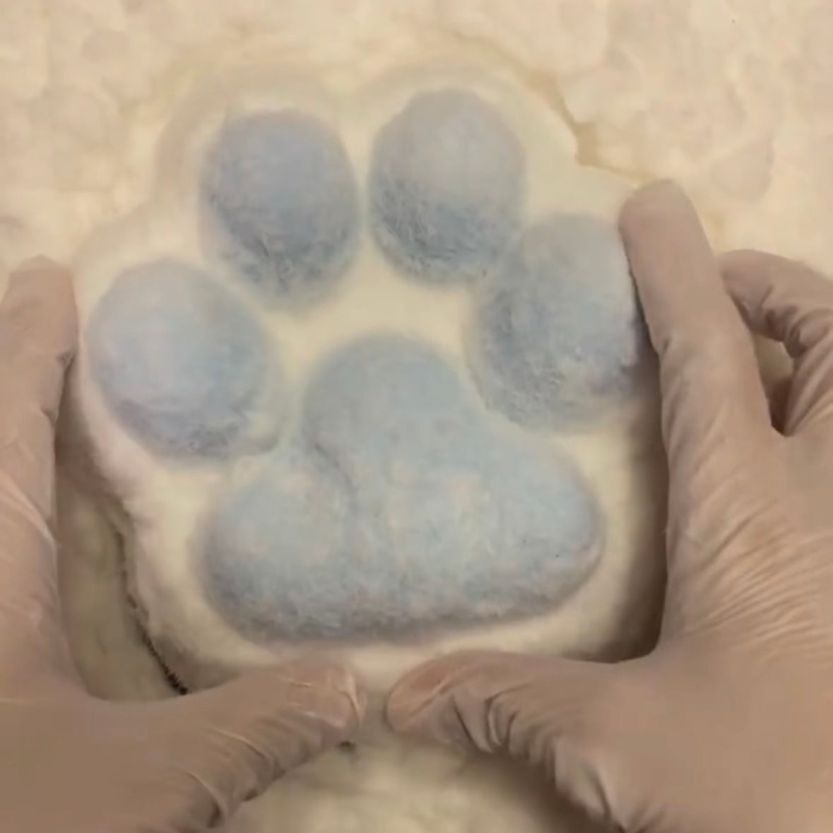 800g GIANT Squishy Paw Stress Relief Taba Squishy Toy – product image 36
