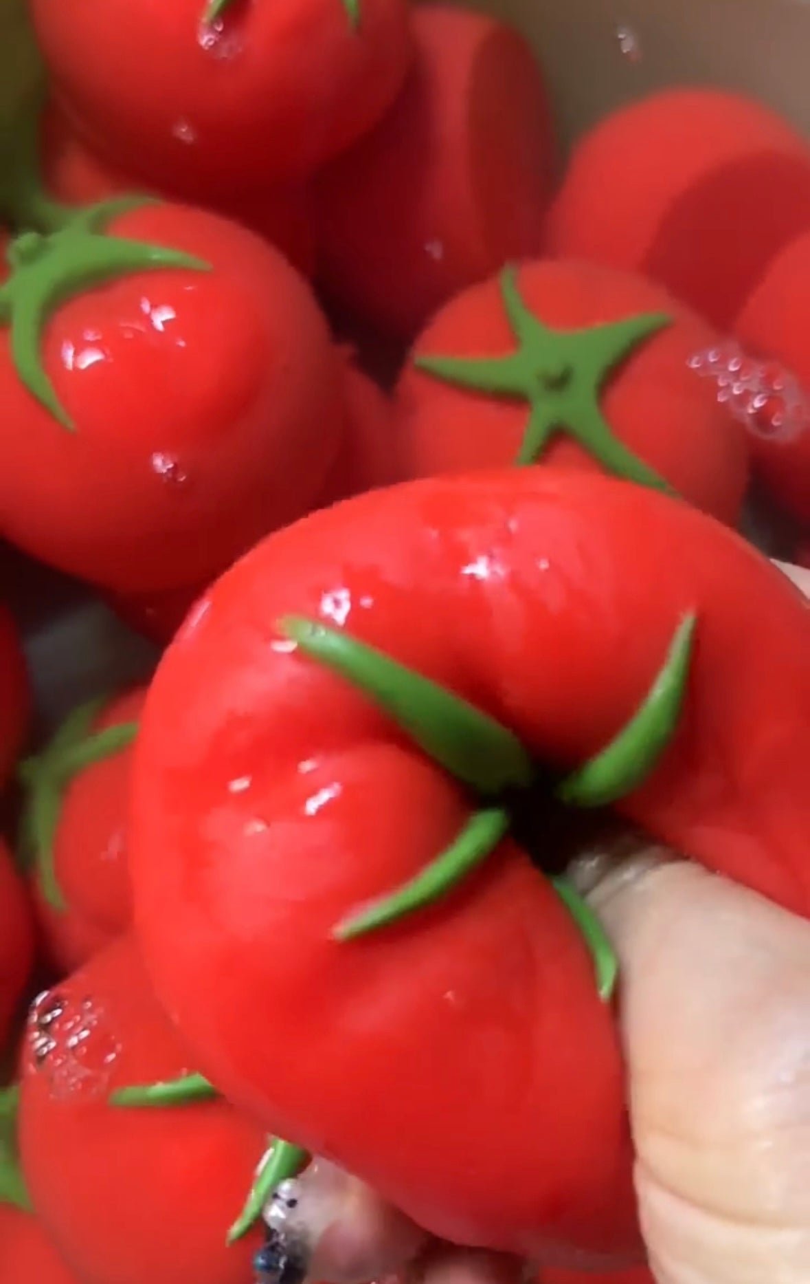Handmade Tomato Taba Squishy Toy – product image 2