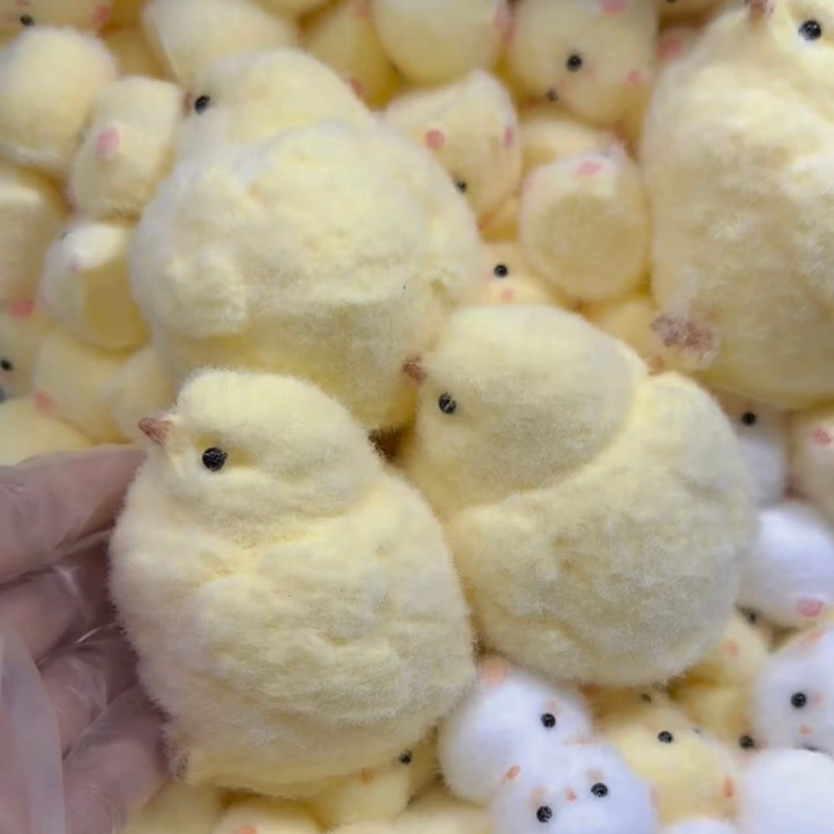 Handmade Silicone Chicks Chicken Stress Relief Taba Squishy Toy – product image 2