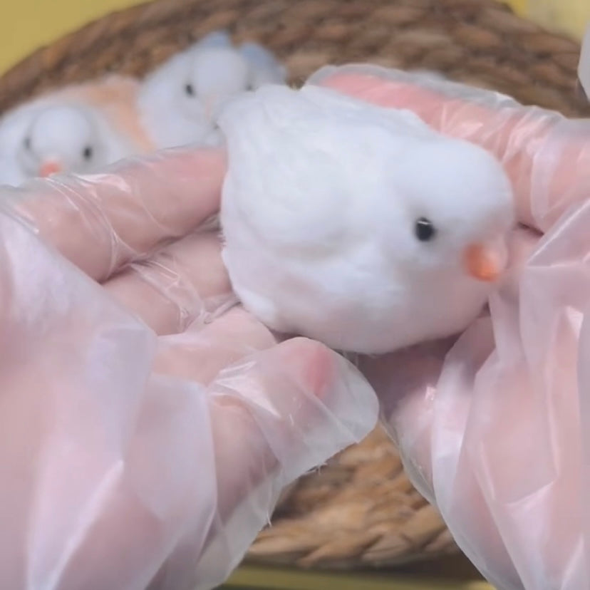 Handmade Silicone Birds Stress Relief Squishy Toy — White / Pink / Blue & More – product image 5