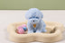 Teddy Blue