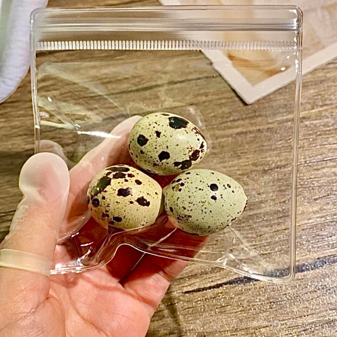 3pcs Quail Eggs Stress Relief Taba Squishy Toy – product image 2