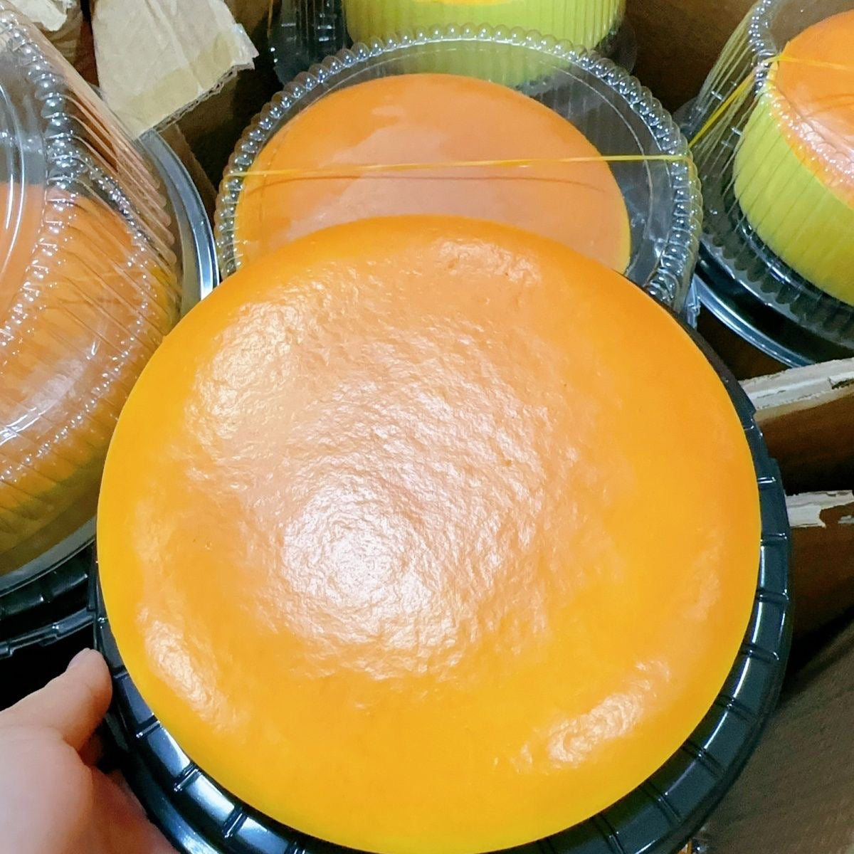 Golden Round Cake Slow-Rising Squishy – Plain Domed Cake Shape with Smooth Orange Top and Pale Yellow Sides