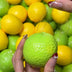 lemon - 1pc
