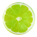 Sliced Fruit Seat Cushion Plushies, Six Styles, 13" | 32 cm — image 12