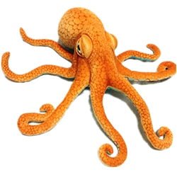 Authentic Common Octopus Plushie, 22-33" | 55-85 cm — image 1