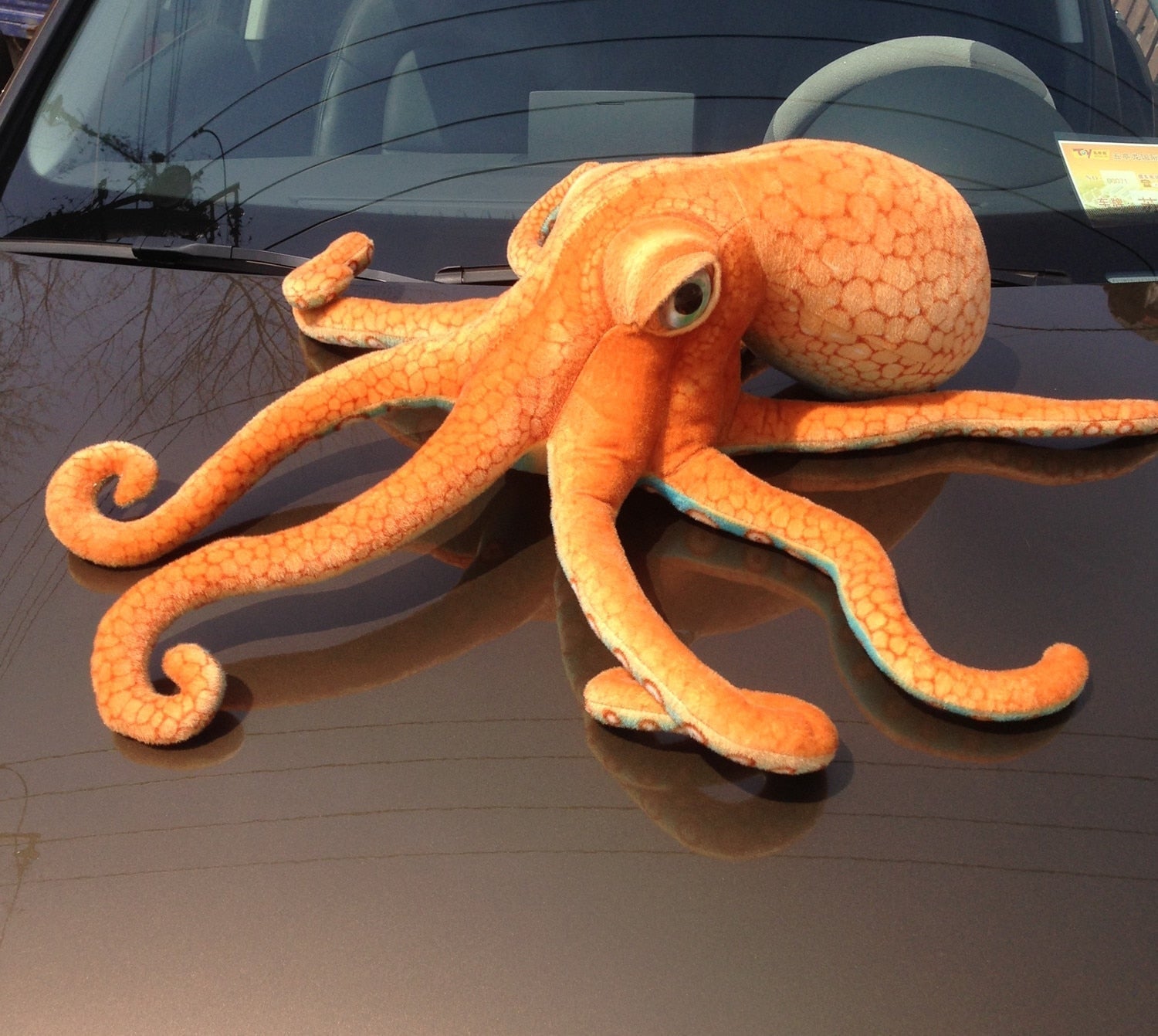 Authentic Common Octopus Plushie, 22-33" | 55-85 cm — image 4