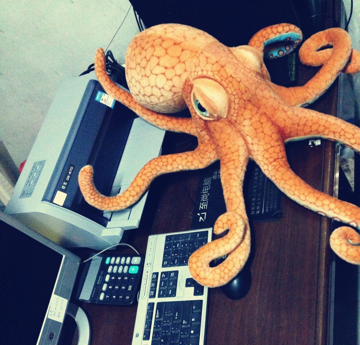 Authentic Common Octopus Plushie, 22-33" | 55-85 cm — image 7