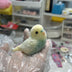 1pc Green