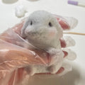 Handmade Silicone Bunny Stress Relief Squishy Toy – product image 6