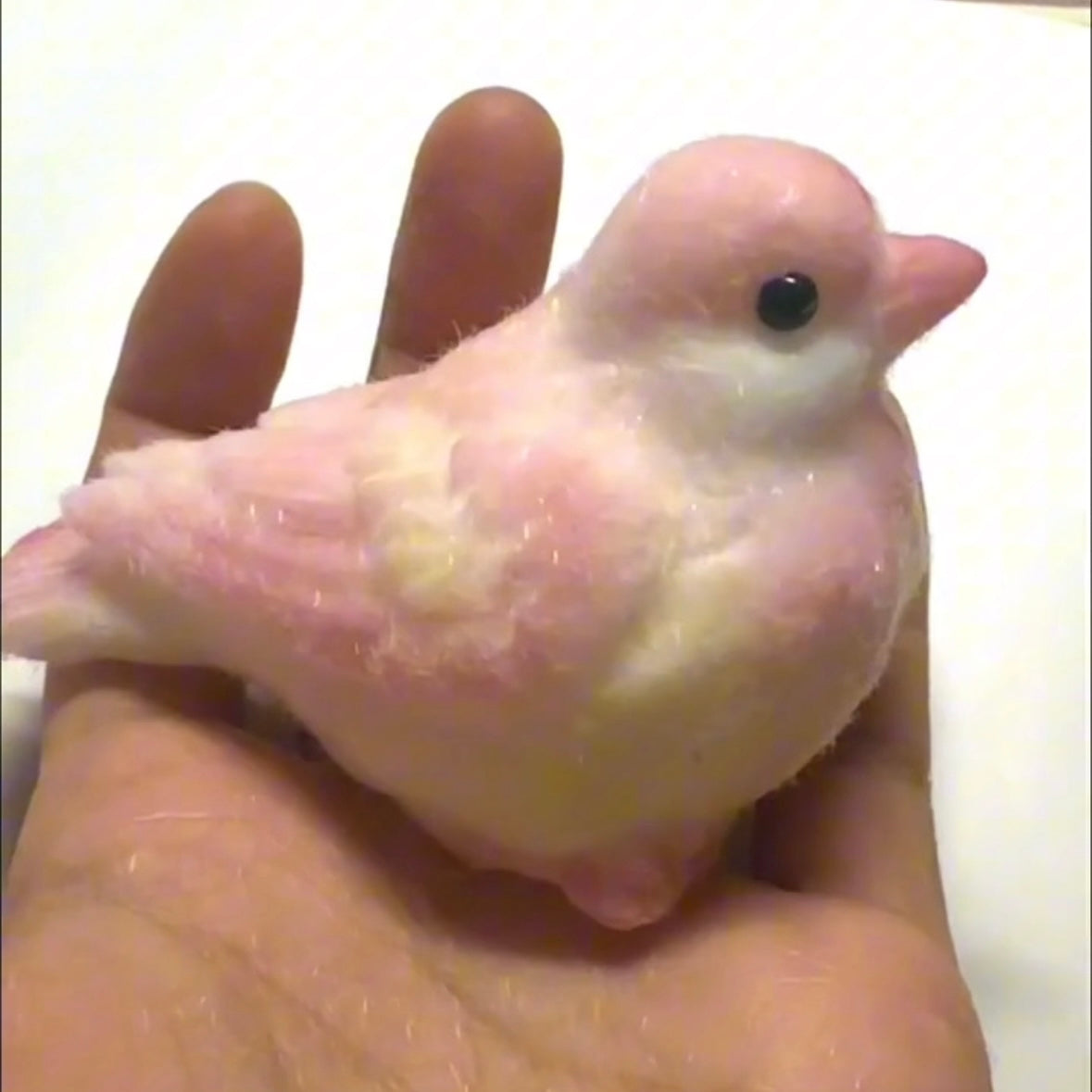 Handmade Silicone Birds Stress Relief Squishy Toy — Birds – product image 2