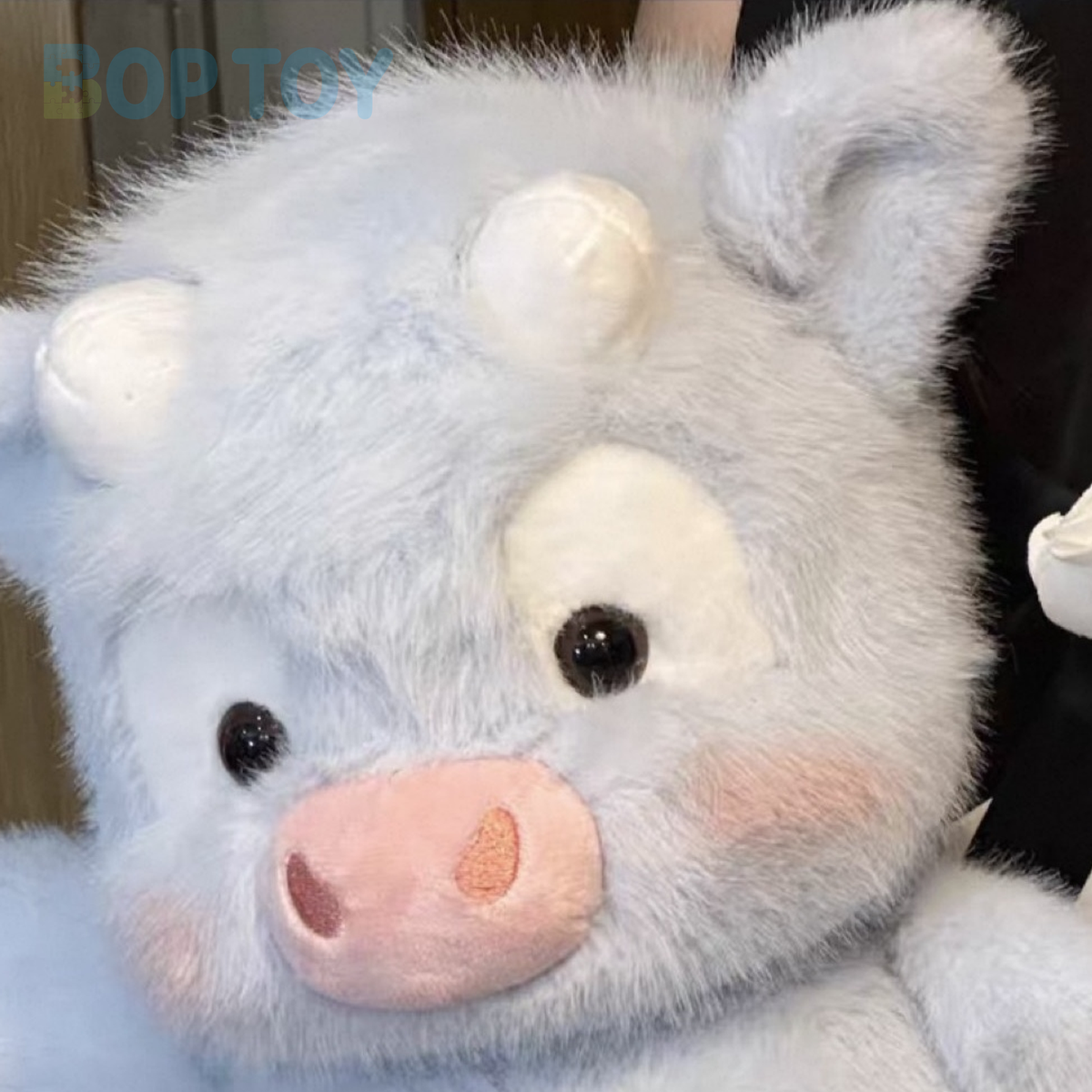 Close-up of the blue & white calf plush face, short horns and fluffy fringe