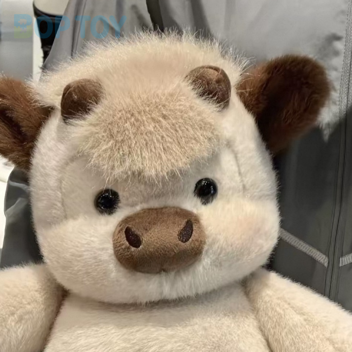 Close-up of the cocoa coffee calf plush face, short horns and fluffy fringe