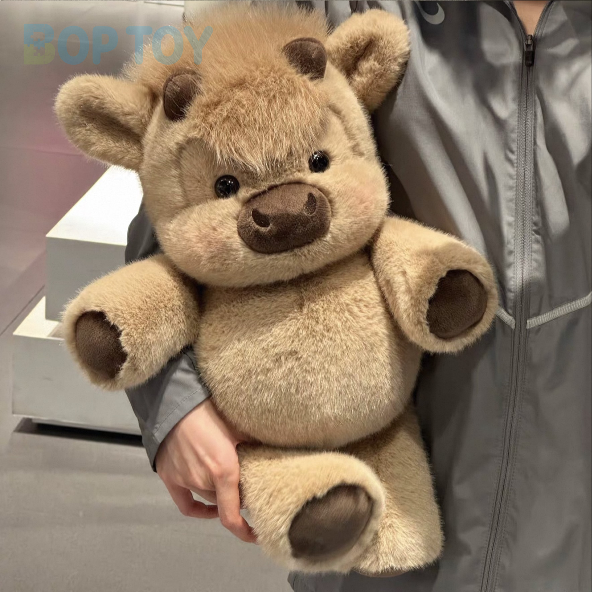 Original product photograph of the cookie Highland cow plush