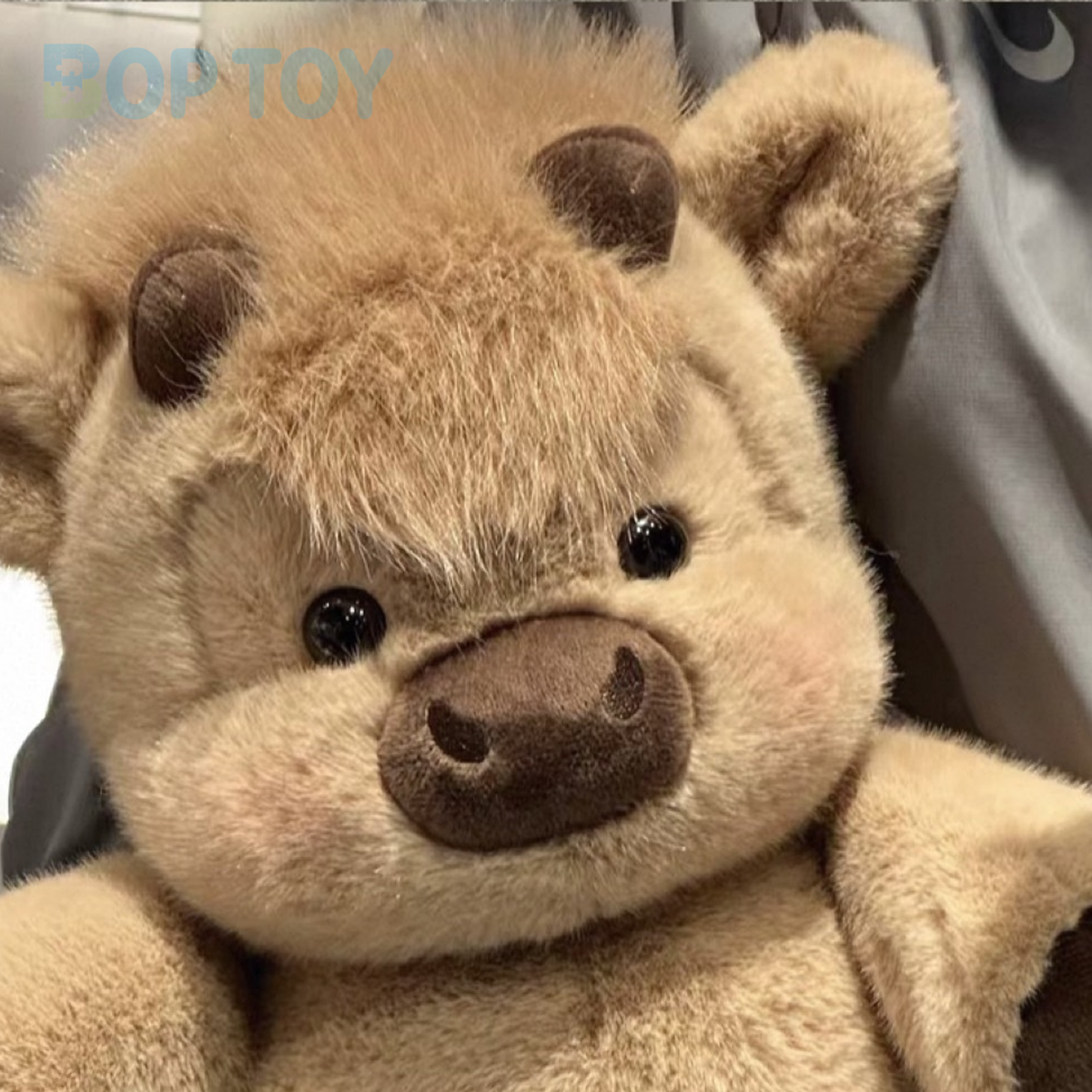 Close-up of the cookie calf plush face, short horns and fluffy fringe