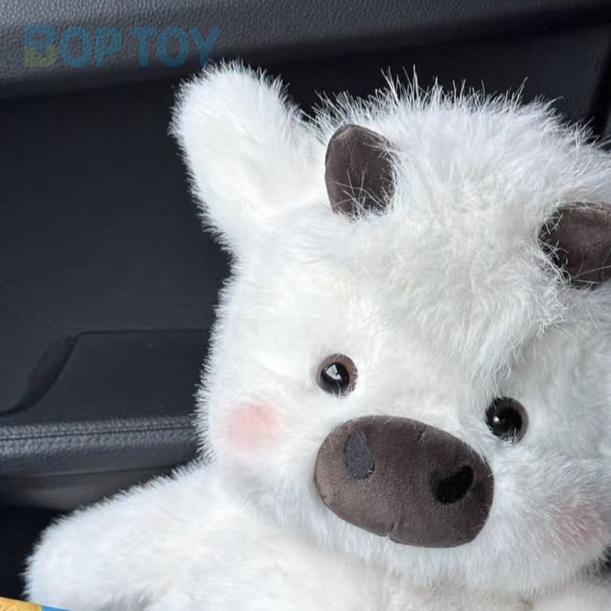 Close-up of the cream calf plush face, short horns and fluffy fringe