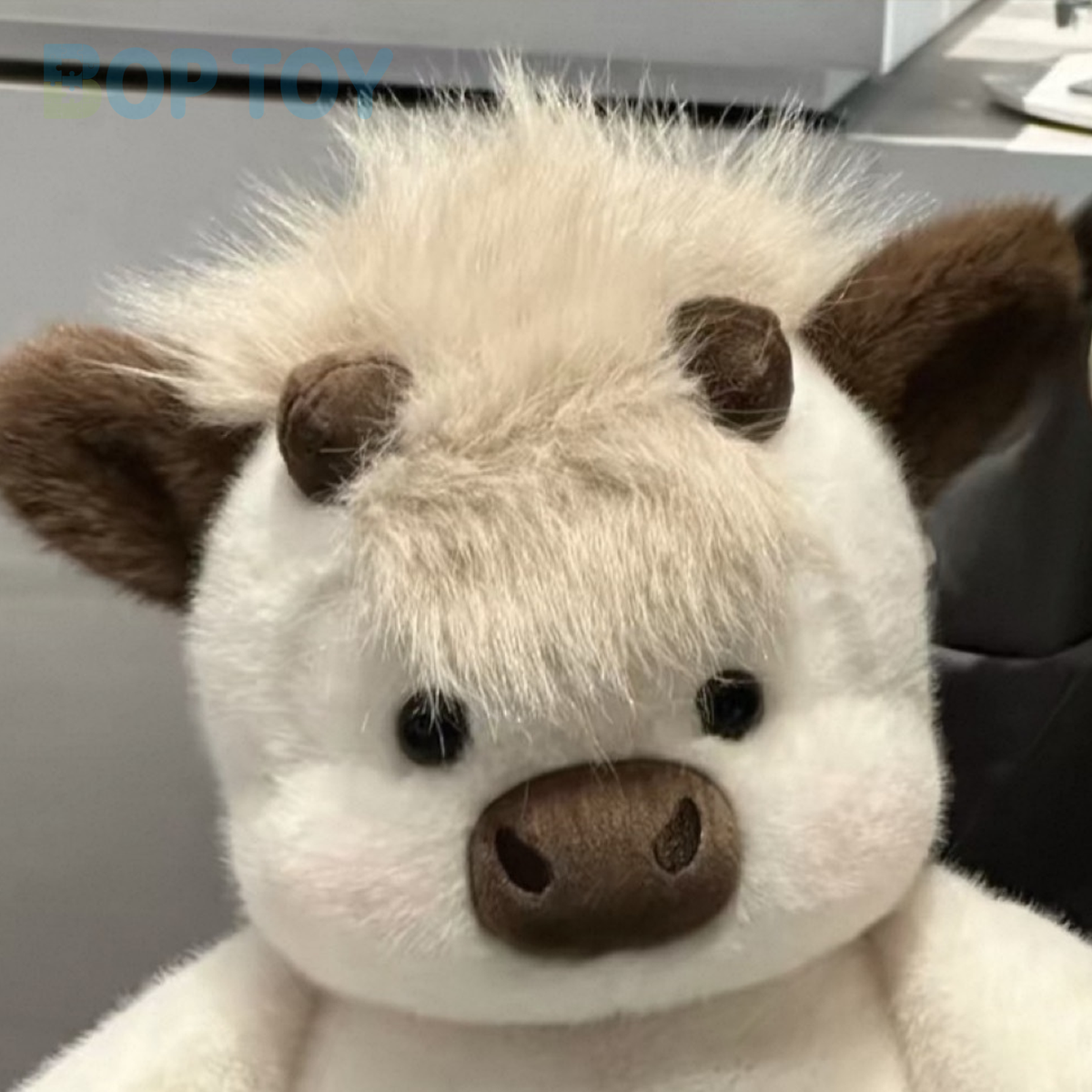 Close-up of the cream sandwich calf plush face, short horns and fluffy fringe