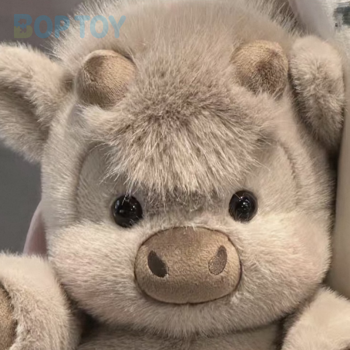 Close-up of the grey bean calf plush face, short horns and fluffy fringe