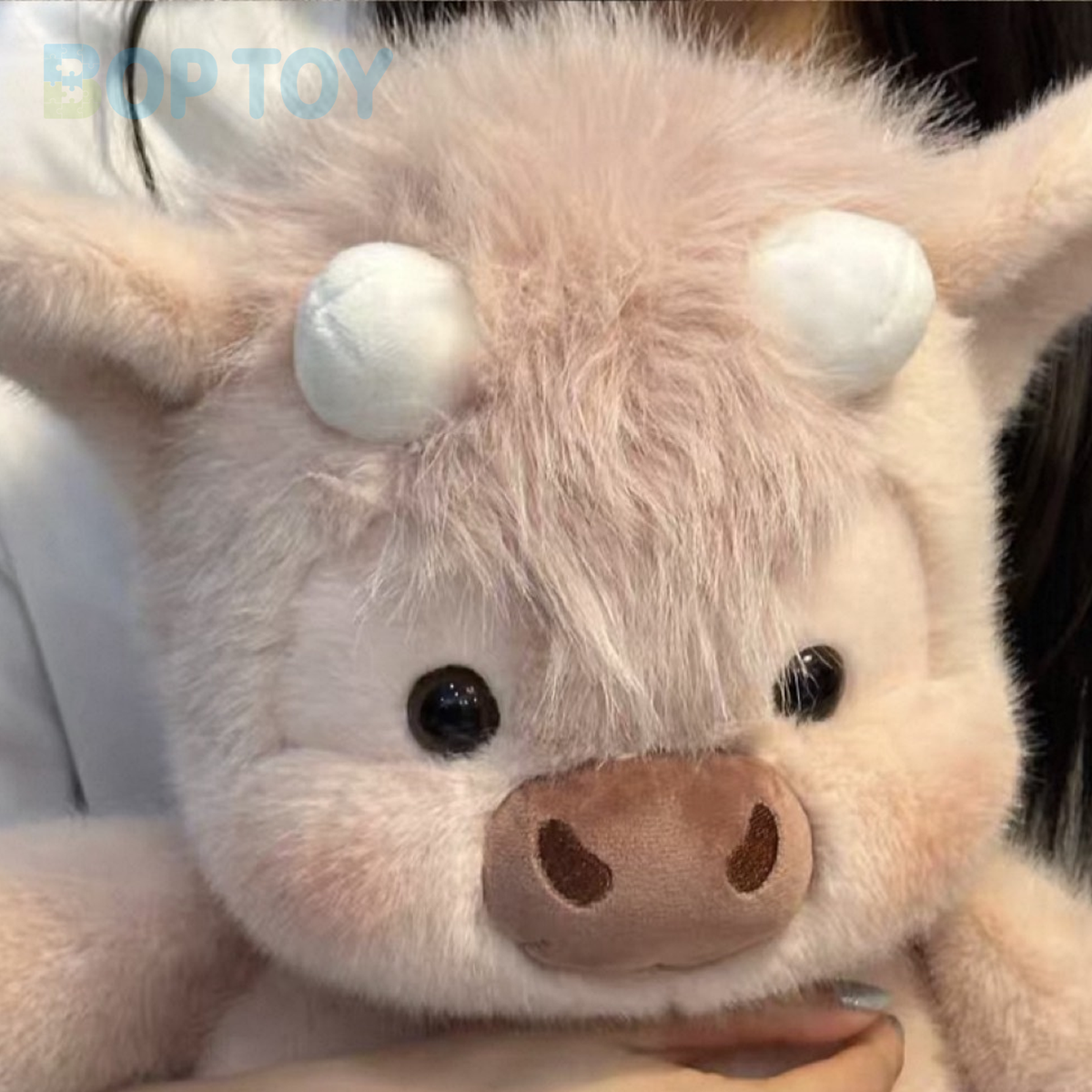 Close-up of the guava calf plush face, short horns and fluffy fringe