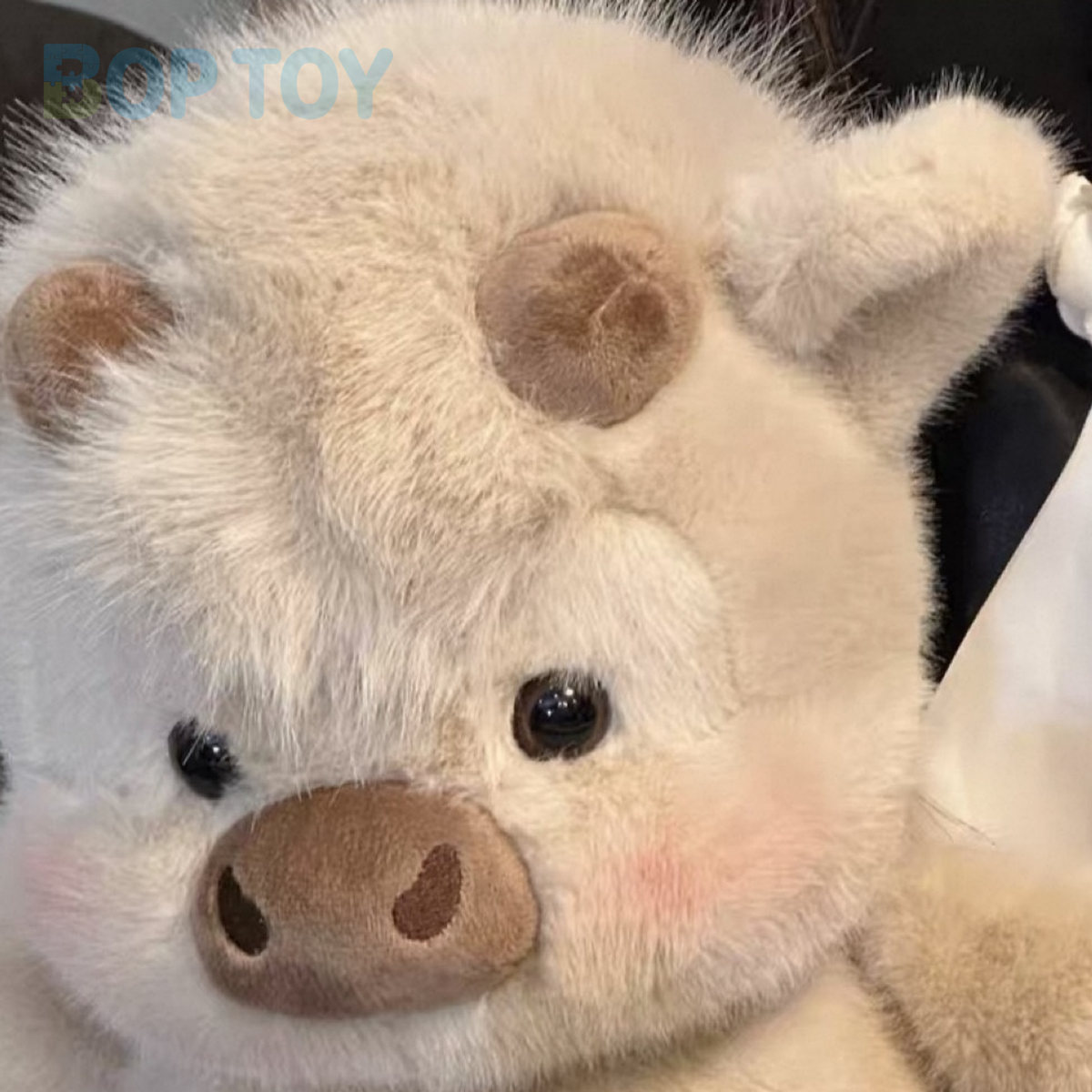 Close-up of the light khaki calf plush face, short horns and fluffy fringe