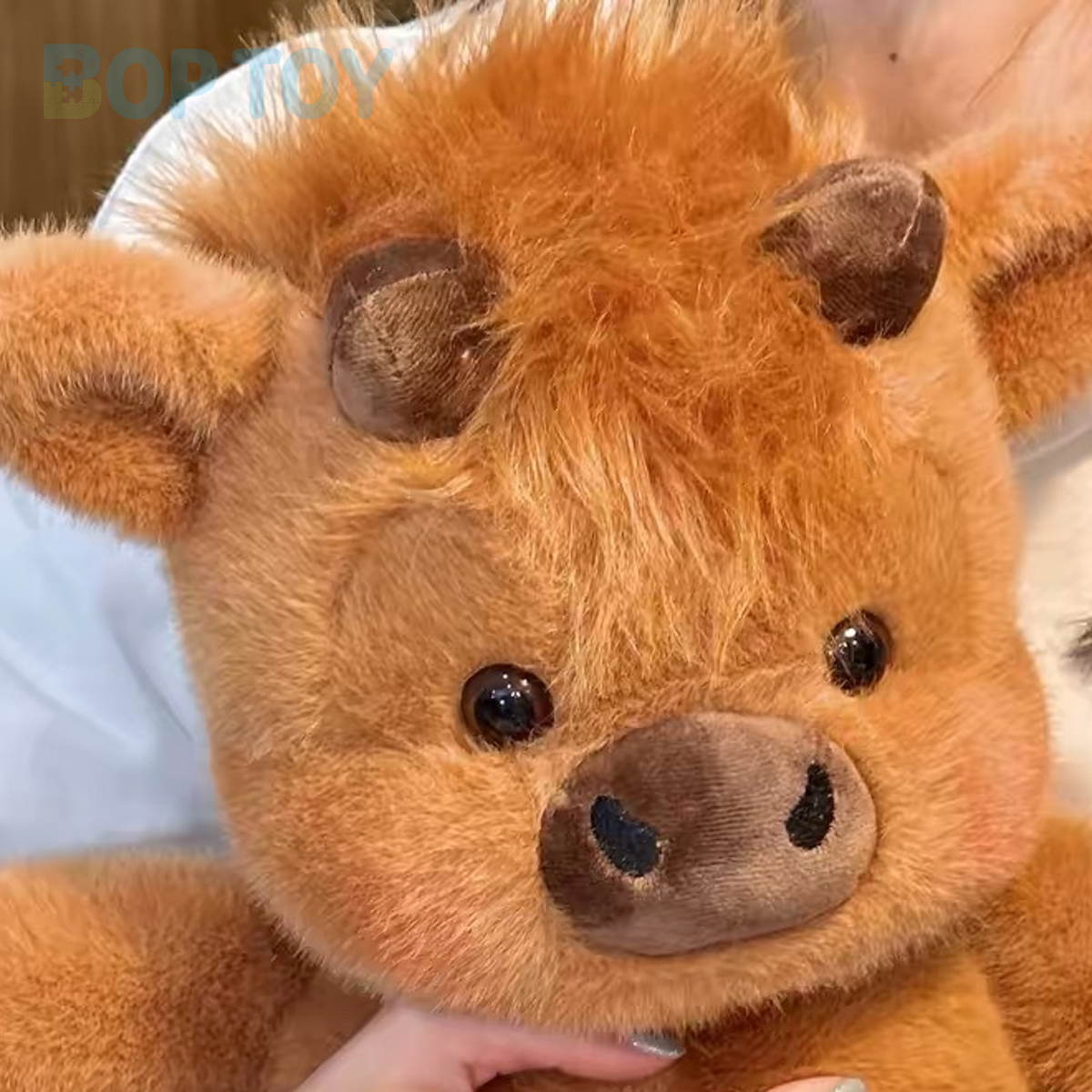 Close-up of the maillard calf plush face, short horns and fluffy fringe