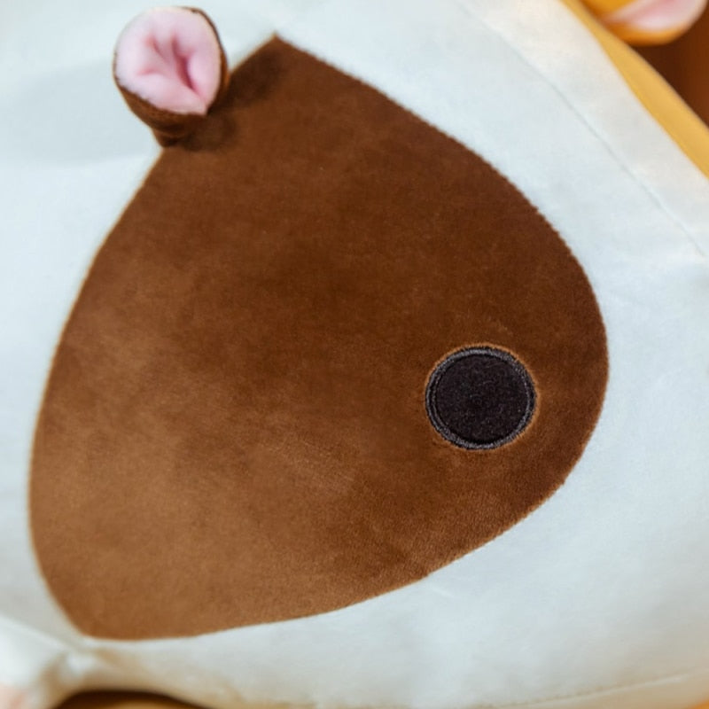 Adorable Lying Guinea Pigs Squad — image 3