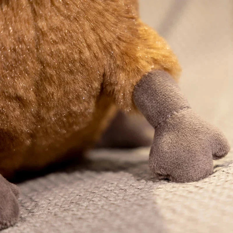 Biscuit the Derpy Capybara Plush — image 4