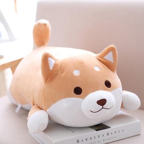 Chubby Shiba Inu — image 1
