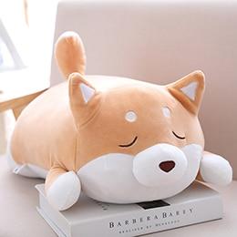 Chubby Shiba Inu — image 10