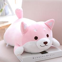 Chubby Shiba Inu — image 9