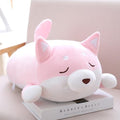 Chubby Shiba Inu — image 3