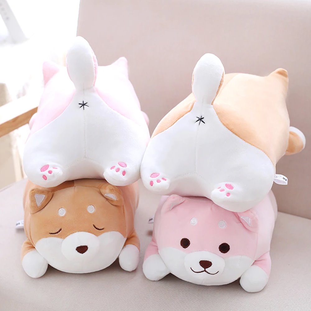 Chubby Shiba Inu — image 2