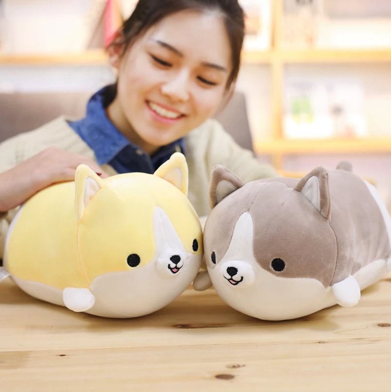 Corgi Cuddle Buddies — image 7