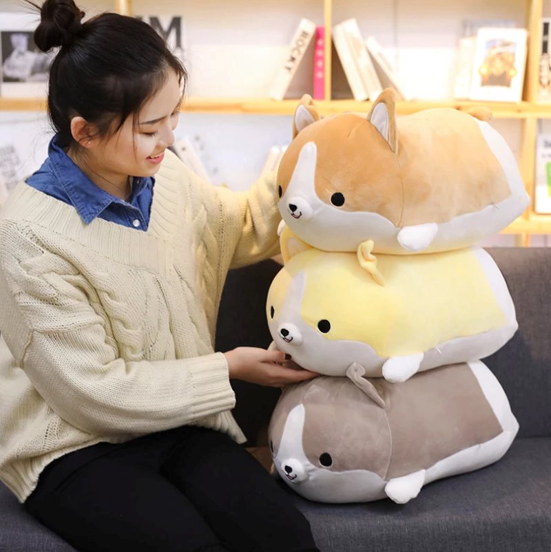 Corgi Cuddle Buddies — image 6