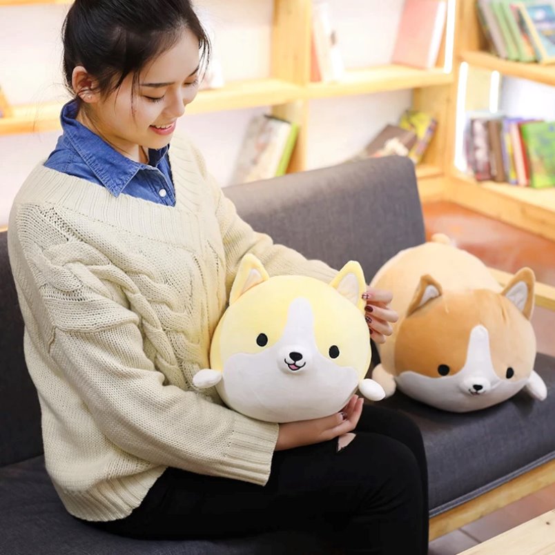 Corgi Cuddle Buddies — image 8