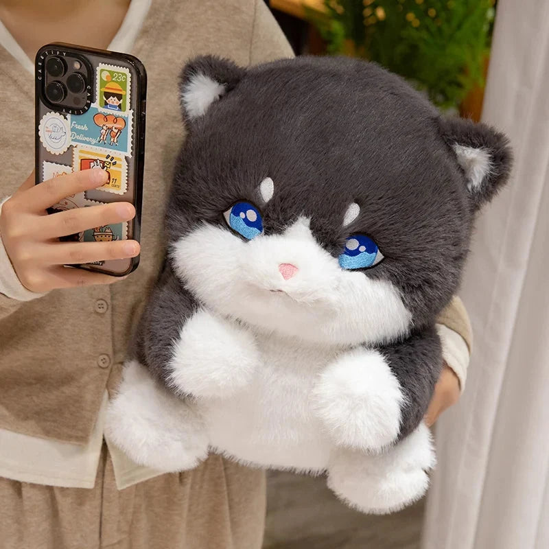 Cute Chubby Gray Ginger Cat Plushies — image 17