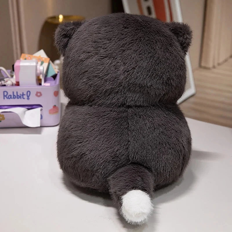 Cute Chubby Gray Ginger Cat Plushies — image 13
