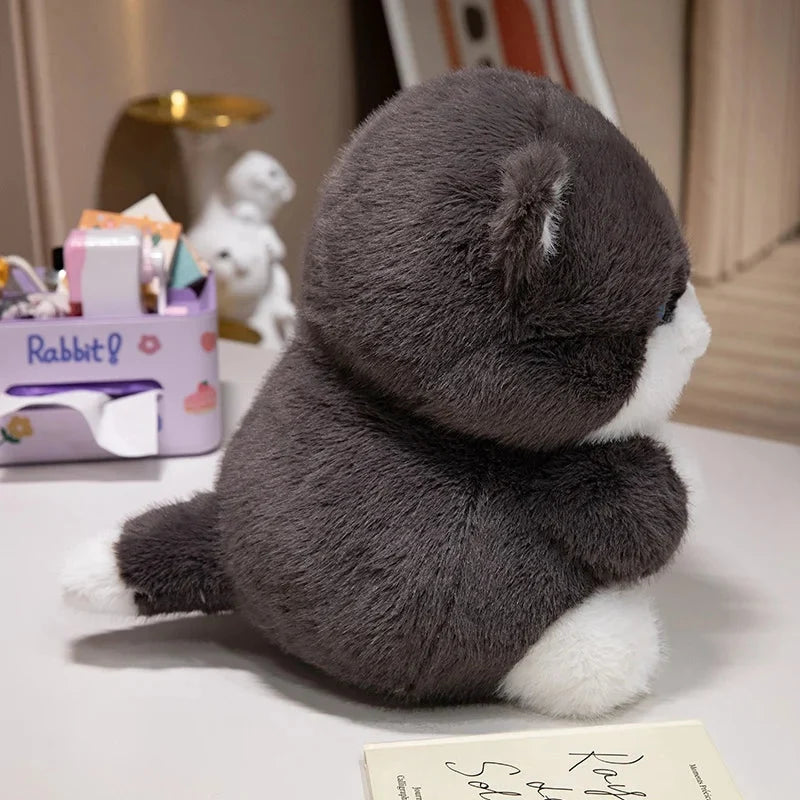 Cute Chubby Gray Ginger Cat Plushies — image 12