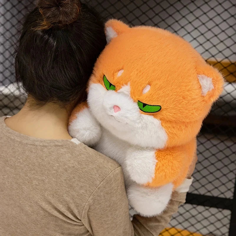 Cute Chubby Gray Ginger Cat Plushies — image 15