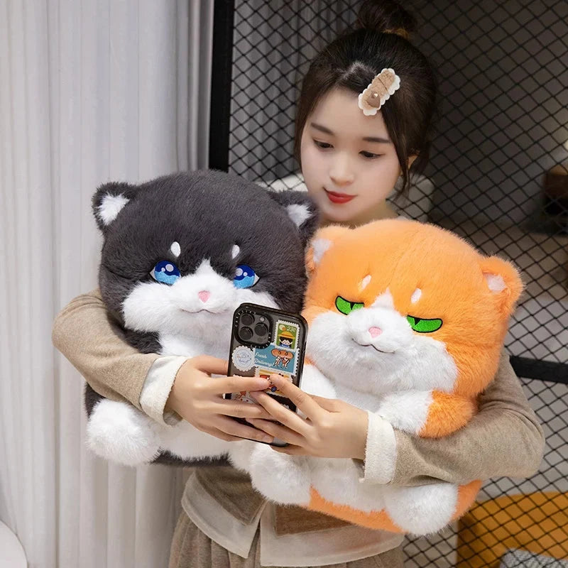 Cute Chubby Gray Ginger Cat Plushies — image 10