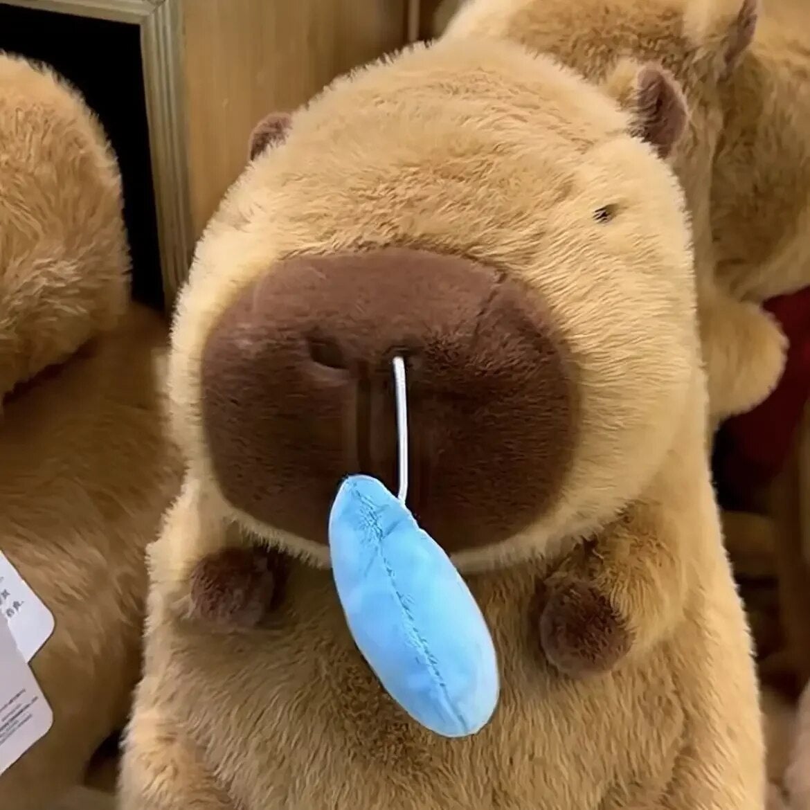 Cute Snotty Capybara Runny Nose Plushie — image 5