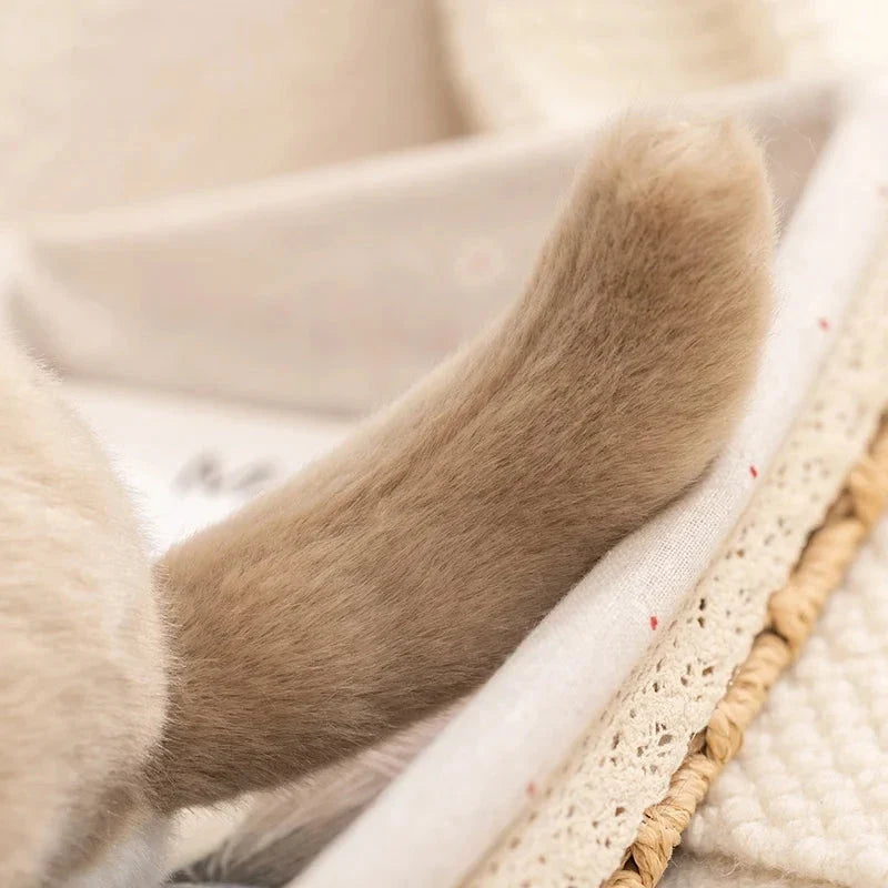 Didi the Kawaii Chinchilla Plushie — image 15