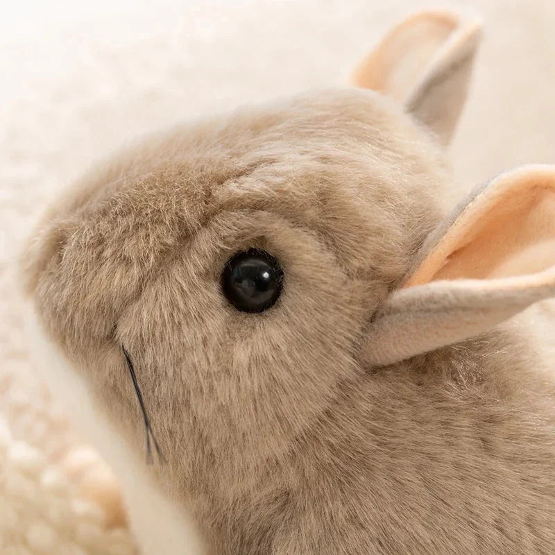 Didi the Kawaii Chinchilla Plushie — image 9