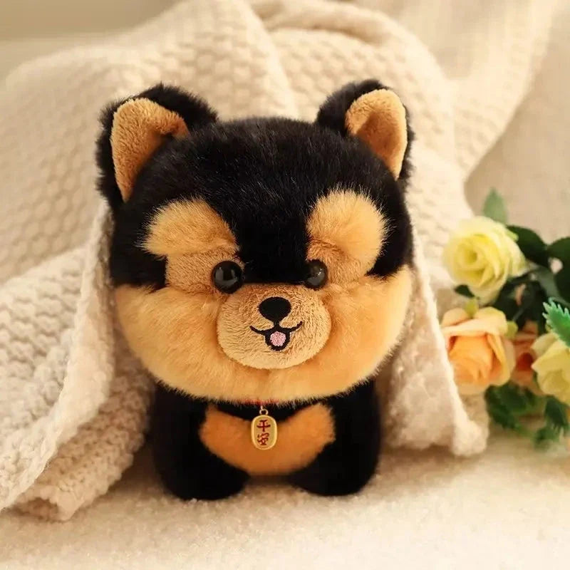Fluffy Mini Dogs — image 13