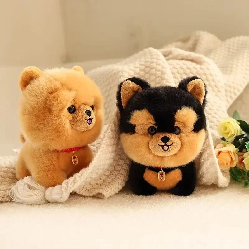Fluffy Mini Dogs — image 11