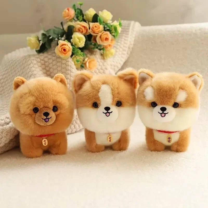 Fluffy Mini Dogs — image 17