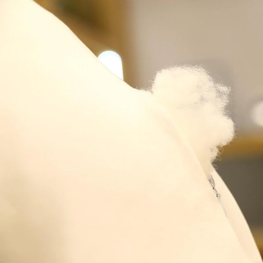Fred the Super Puffy Seagull — image 8